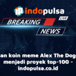 3 alasan koin meme Alex The Doge bisa menjadi proyek top-100