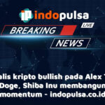 Analis kripto bullish pada Alex The Doge, Shiba Inu membangun momentum